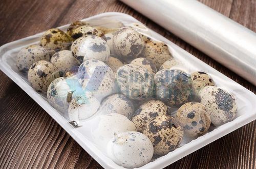 Compostable Cling Film