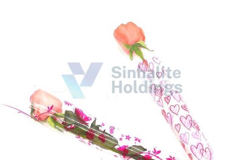 Compostable Packing Film