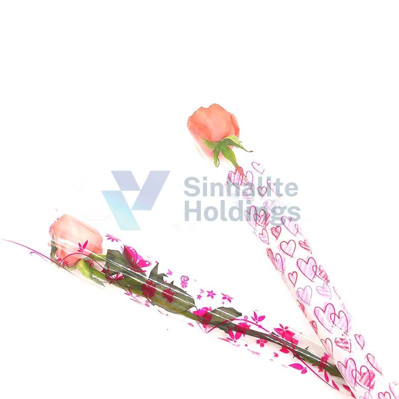 Compostable Packing Film - Image 1